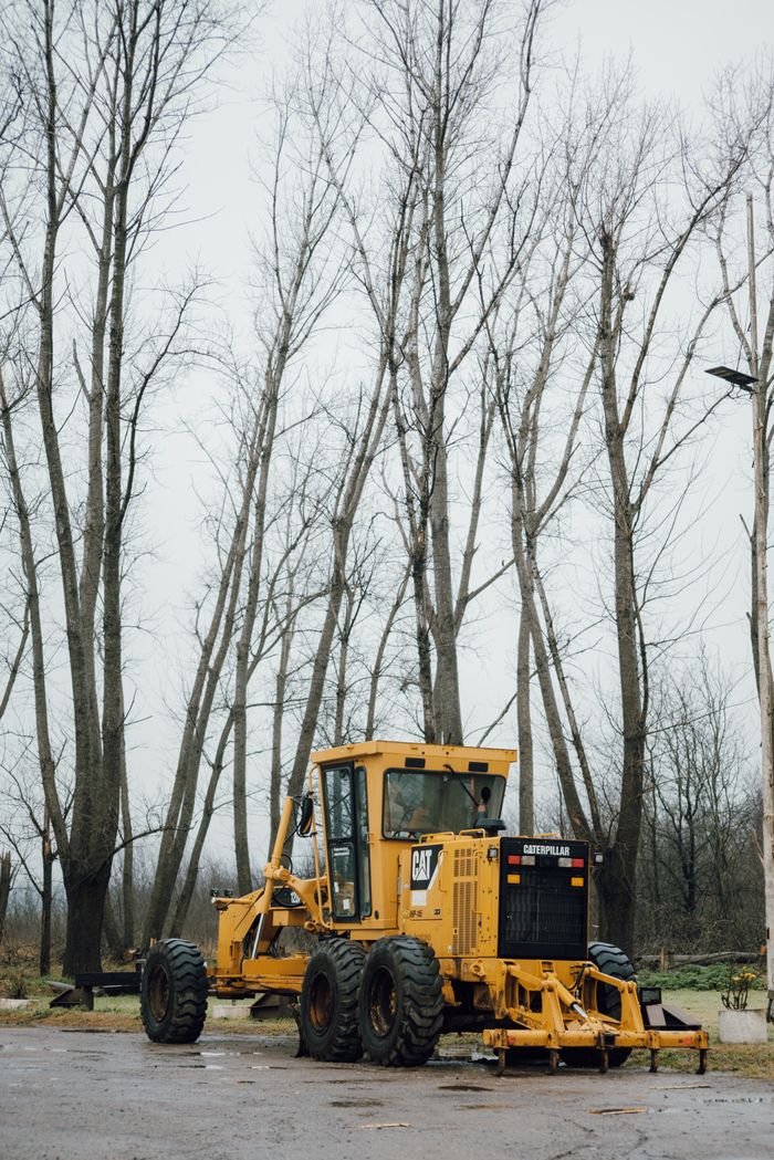 A yellow bulldozer stands in a winter forest with bare trees, creating an industrial nature contrast.